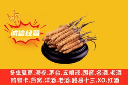 循化县回收冬虫夏草